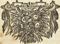 An illustration from Gedenkwaerdig bedryf der Nederlandsche Oost-Indische Maetschappye, op de kuste en in het keizerrijk van Taising of Sina : behelzende het tweede gezandschap aen den onder-koning Singlamong en veldheer Taising Lipoui, door Jan van Kampen en Konstantyn Nobel : vervolgt met een verhael van het voorgevallen des jaers zestien hondert drie en vier en zestig, op de kuste van Sina, en ontrent d'eilanden Tayowan, Formosa, Ay en Quemuy, onder't gezag van Balthasar Bort : en het derde gezandschap aen Konchy, Tartarsche keizer van Sina en Oost-Tartarye : onder beleit van zijne ed. Pieter van Hoorn : beneffens een beschryving van geheel Sina : verçiert doorgaens met verscheide kopere platen (1670)