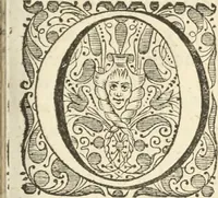 An illustration from Gedenkwaerdig bedryf der Nederlandsche Oost-Indische Maetschappye, op de kuste en in het keizerrijk van Taising of Sina : behelzende het tweede gezandschap aen den onder-koning Singlamong en veldheer Taising Lipoui, door Jan van Kampen en Konstantyn Nobel : vervolgt met een verhael van het voorgevallen des jaers zestien hondert drie en vier en zestig, op de kuste van Sina, en ontrent d'eilanden Tayowan, Formosa, Ay en Quemuy, onder't gezag van Balthasar Bort : en het derde gezandschap aen Konchy, Tartarsche keizer van Sina en Oost-Tartarye : onder beleit van zijne ed. Pieter van Hoorn : beneffens een beschryving van geheel Sina : verçiert doorgaens met verscheide kopere platen (1670)