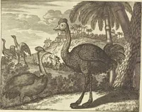 An illustration from Gedenkwaerdig bedryf der Nederlandsche Oost-Indische Maetschappye, op de kuste en in het keizerrijk van Taising of Sina : behelzende het tweede gezandschap aen den onder-koning Singlamong en veldheer Taising Lipoui, door Jan van Kampen en Konstantyn Nobel : vervolgt met een verhael van het voorgevallen des jaers zestien hondert drie en vier en zestig, op de kuste van Sina, en ontrent d'eilanden Tayowan, Formosa, Ay en Quemuy, onder't gezag van Balthasar Bort : en het derde gezandschap aen Konchy, Tartarsche keizer van Sina en Oost-Tartarye : onder beleit van zijne ed. Pieter van Hoorn : beneffens een beschryving van geheel Sina : verçiert doorgaens met verscheide kopere platen (1670)