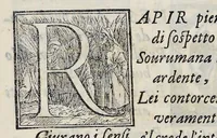 An illustration from Alcvne composizioni di diversi avtori in lode del ritratto della Sabina scolpito in marmo dall'eccellentissimo m. Giouanni Bologna, posto nella piazza del serenissimo gran duca di Toscana (1583)