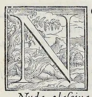 An illustration from Alcvne composizioni di diversi avtori in lode del ritratto della Sabina scolpito in marmo dall'eccellentissimo m. Giouanni Bologna, posto nella piazza del serenissimo gran duca di Toscana (1583)