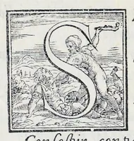 Picture 17 of 27 from Alcvne composizioni di diversi avtori in lode del ritratto della Sabina scolpito in marmo dall'eccellentissimo m. Giouanni Bologna, posto nella piazza del serenissimo gran duca di Toscana (1583), leaf 31