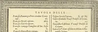 An illustration from Cremona fedelissima citta et nobilissima colonia de Romani : rappresentata in disegno col svo contado et illvstrata d'vna breve historia delle cose piv notabili appartenenti ad essa et de i ritratti natvrali de dvchi et dvchesse di Milano e compendio delle lor vite (1585)