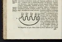 Picture 9 of 24 from Ad Alexandrum VII. Pont. Max. Obelisci Aegyptiaci : nuper inter Isaei Romani rudera effossi interpretatio hieroglyphica (1666), leaf 67