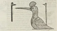 An illustration from Ad Alexandrum VII. Pont. Max. Obelisci Aegyptiaci : nuper inter Isaei Romani rudera effossi interpretatio hieroglyphica (1666)