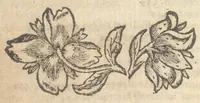 An illustration from Guida de' forestieri : curiosi di vedere, e d'intendere le cose più notabili della regal città di Napoli, e del suo amenissimo distretto (1688)