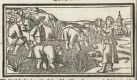 An illustration from Di Ovidio Le metamorphosi, cioe, Trasmutationi : tradotte dal latino diligentemente in uolgar uerso, con le sue allegorie, significatione & dichiaratione delle fabole in prosa (1533)