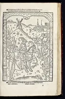 An illustration from Messire Frãcois Petracque Des remedes de lune et lautre fortune, prospere et aduerse (1534)
