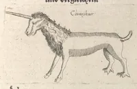 An illustration from Museum museorum, oder, Vollständige Schau Bühne aller Materialien und Specereyen : nebst deren natürlichen Beschreibung, Election, Nutzen und Gebrauch, aus andern Material-Kunst-und Naturalien-Kammern, oost-und-west-indischen Reiss-Beschreibungen ... : wie auch selbst-eigenen Erfahrung, zum Vorschub der studirenden Jugend, Materialisten ... u.s.w. also verfasset, und mit etlich hundert sauberen Kupfferstücken unter Augen geleget (1714)