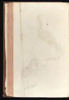 An illustration from Museum museorum, oder, Vollständige Schau Bühne aller Materialien und Specereyen : nebst deren natürlichen Beschreibung, Election, Nutzen und Gebrauch, aus andern Material-Kunst-und Naturalien-Kammern, oost-und-west-indischen Reiss-Beschreibungen ... : wie auch selbst-eigenen Erfahrung, zum Vorschub der studirenden Jugend, Materialisten ... u.s.w. also verfasset, und mit etlich hundert sauberen Kupfferstücken unter Augen geleget (1714)