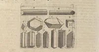 An illustration from Museum museorum, oder, Vollständige Schau Bühne aller Materialien und Specereyen : nebst deren natürlichen Beschreibung, Election, Nutzen und Gebrauch, aus andern Material-Kunst-und Naturalien-Kammern, oost-und-west-indischen Reiss-Beschreibungen ... : wie auch selbst-eigenen Erfahrung, zum Vorschub der studirenden Jugend, Materialisten ... u.s.w. also verfasset, und mit etlich hundert sauberen Kupfferstücken unter Augen geleget (1714)