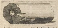 An illustration from Museum museorum, oder, Vollständige Schau Bühne aller Materialien und Specereyen : nebst deren natürlichen Beschreibung, Election, Nutzen und Gebrauch, aus andern Material-Kunst-und Naturalien-Kammern, oost-und-west-indischen Reiss-Beschreibungen ... : wie auch selbst-eigenen Erfahrung, zum Vorschub der studirenden Jugend, Materialisten ... u.s.w. also verfasset, und mit etlich hundert sauberen Kupfferstücken unter Augen geleget (1714)