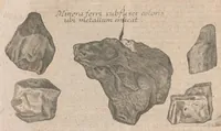 An illustration from Museum museorum, oder, Vollständige Schau Bühne aller Materialien und Specereyen : nebst deren natürlichen Beschreibung, Election, Nutzen und Gebrauch, aus andern Material-Kunst-und Naturalien-Kammern, oost-und-west-indischen Reiss-Beschreibungen ... : wie auch selbst-eigenen Erfahrung, zum Vorschub der studirenden Jugend, Materialisten ... u.s.w. also verfasset, und mit etlich hundert sauberen Kupfferstücken unter Augen geleget (1714)