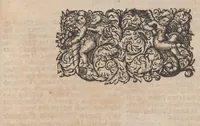 An illustration from Museum museorum, oder, Vollständige Schau Bühne aller Materialien und Specereyen : nebst deren natürlichen Beschreibung, Election, Nutzen und Gebrauch, aus andern Material-Kunst-und Naturalien-Kammern, oost-und-west-indischen Reiss-Beschreibungen ... : wie auch selbst-eigenen Erfahrung, zum Vorschub der studirenden Jugend, Materialisten ... u.s.w. also verfasset, und mit etlich hundert sauberen Kupfferstücken unter Augen geleget (1714)