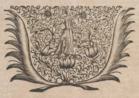 An illustration from Museum museorum, oder, Vollständige Schau Bühne aller Materialien und Specereyen : nebst deren natürlichen Beschreibung, Election, Nutzen und Gebrauch, aus andern Material-Kunst-und Naturalien-Kammern, oost-und-west-indischen Reiss-Beschreibungen ... : wie auch selbst-eigenen Erfahrung, zum Vorschub der studirenden Jugend, Materialisten ... u.s.w. also verfasset, und mit etlich hundert sauberen Kupfferstücken unter Augen geleget (1714)