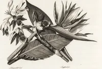 An illustration from Darstellung und Geschichte des Geschmacks der vorzüglichsten Völker in Beziehung auf die innere Auszierung der Zimmer und auf die Baukunst (1796)