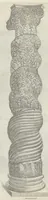 Picture 3 of 22 from Specvlvm Romanae magnificentiae : omnia fere qvaecvnq- in vrbe monvmenta extant partim ivxta antiqvam partim ivxta hodiernam formam accuratiss. delineata repraesentans : accesserunt non paucae tum antiquarum tum modernarum rerum urbis figurae nusquam antehac aeditae ... (1544), leaf 10