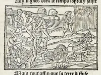 An illustration from Les oeuures de Virgile : translatees de latin en francoys, et nouuellement imprimees, veues et corrigees oultre les precedentes impressions : avec les histoires mises [et] posees chascune en son lieu, ainsi que lon pourra veoir dedans le liure, lesquelles sont moult recreatiues (1540)