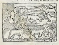 An illustration from Les oeuures de Virgile : translatees de latin en francoys, et nouuellement imprimees, veues et corrigees oultre les precedentes impressions : avec les histoires mises [et] posees chascune en son lieu, ainsi que lon pourra veoir dedans le liure, lesquelles sont moult recreatiues (1540)