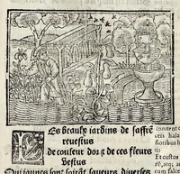 Picture 16 of 51 from Les oeuures de Virgile : translatees de latin en francoys, et nouuellement imprimees, veues et corrigees oultre les precedentes impressions : avec les histoires mises [et] posees chascune en son lieu, ainsi que lon pourra veoir dedans le liure, lesquelles sont moult recreatiues (1540), leaf 140