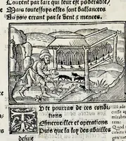 Picture 17 of 51 from Les oeuures de Virgile : translatees de latin en francoys, et nouuellement imprimees, veues et corrigees oultre les precedentes impressions : avec les histoires mises [et] posees chascune en son lieu, ainsi que lon pourra veoir dedans le liure, lesquelles sont moult recreatiues (1540), leaf 143