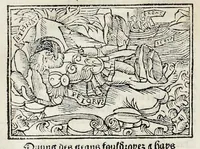 Picture 25 of 51 from Les oeuures de Virgile : translatees de latin en francoys, et nouuellement imprimees, veues et corrigees oultre les precedentes impressions : avec les histoires mises [et] posees chascune en son lieu, ainsi que lon pourra veoir dedans le liure, lesquelles sont moult recreatiues (1540), leaf 217