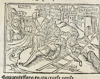 Picture 26 of 51 from Les oeuures de Virgile : translatees de latin en francoys, et nouuellement imprimees, veues et corrigees oultre les precedentes impressions : avec les histoires mises [et] posees chascune en son lieu, ainsi que lon pourra veoir dedans le liure, lesquelles sont moult recreatiues (1540), leaf 219