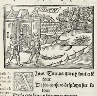 Picture 38 of 51 from Les oeuures de Virgile : translatees de latin en francoys, et nouuellement imprimees, veues et corrigees oultre les precedentes impressions : avec les histoires mises [et] posees chascune en son lieu, ainsi que lon pourra veoir dedans le liure, lesquelles sont moult recreatiues (1540), leaf 301