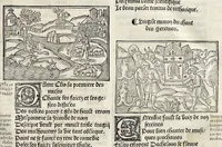 An illustration from Les oeuures de Virgile : translatees de latin en francoys, et nouuellement imprimees, veues et corrigees oultre les precedentes impressions : avec les histoires mises [et] posees chascune en son lieu, ainsi que lon pourra veoir dedans le liure, lesquelles sont moult recreatiues (1540)