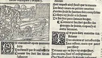An illustration from Les oeuures de Virgile : translatees de latin en francoys, et nouuellement imprimees, veues et corrigees oultre les precedentes impressions : avec les histoires mises [et] posees chascune en son lieu, ainsi que lon pourra veoir dedans le liure, lesquelles sont moult recreatiues (1540)