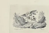 An illustration from Serie di ritratti degli eccellenti pittori : dipinti di propria mano che esistono nell'Imperial galleria di Firenze (1752)