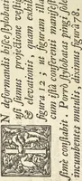 An illustration from Perspectiva pictorum et architectorum (1693)
