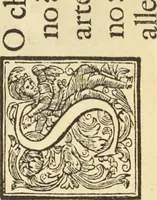 An illustration from Perspectiva pictorum et architectorum (1693)