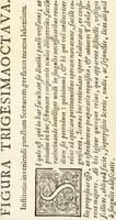Picture 170 of 251 from Perspectiva pictorum et architectorum (1693), leaf 323