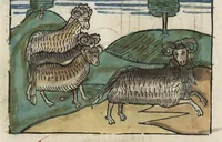 An illustration from Esopi appologi siue mythologi cum quibusdam carminum et fabularum additionibus (1501)