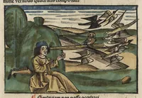 Picture 12 of 18 from Esopi appologi siue mythologi cum quibusdam carminum et fabularum additionibus (1501), leaf 278