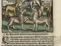 An illustration from Esopi appologi siue mythologi cum quibusdam carminum et fabularum additionibus (1501)