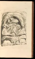 An illustration from Godefridi Bidloo, medicinae doctoris & chirurgi, Anatomia humani corporis : centum & quinque tabulis, per artificiosiss. G. de Lairesse ad vivum delineatis, demonstrata, veterum recentiorumque inventis explicata plurimisque hactenus non detectis, illustrata (1685)