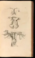 An illustration from Godefridi Bidloo, medicinae doctoris & chirurgi, Anatomia humani corporis : centum & quinque tabulis, per artificiosiss. G. de Lairesse ad vivum delineatis, demonstrata, veterum recentiorumque inventis explicata plurimisque hactenus non detectis, illustrata (1685)