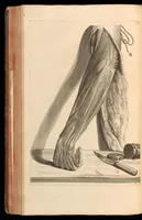 Picture 23 of 32 from Godefridi Bidloo, medicinae doctoris & chirurgi, Anatomia humani corporis : centum & quinque tabulis, per artificiosiss. G. de Lairesse ad vivum delineatis, demonstrata, veterum recentiorumque inventis explicata plurimisque hactenus non detectis, illustrata (1685), leaf 237