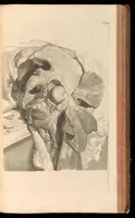 Picture 24 of 32 from Godefridi Bidloo, medicinae doctoris & chirurgi, Anatomia humani corporis : centum & quinque tabulis, per artificiosiss. G. de Lairesse ad vivum delineatis, demonstrata, veterum recentiorumque inventis explicata plurimisque hactenus non detectis, illustrata (1685), leaf 252