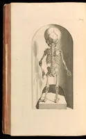 An illustration from Godefridi Bidloo, medicinae doctoris & chirurgi, Anatomia humani corporis : centum & quinque tabulis, per artificiosiss. G. de Lairesse ad vivum delineatis, demonstrata, veterum recentiorumque inventis explicata plurimisque hactenus non detectis, illustrata (1685)