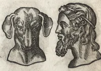 Picture 11 of 42 from La physionomie humaine de Iean Baptiste Porta neapolitain, divisée en quatre liures : enrichie de quantité de figures tirées au naturel, ou par les signes exterieurs du corps, on voit si clairement la complexion, les mœurs, & les desseins des hommes, qu'on semble penetrer iusques au plus profond de leurs ames ... (1655), leaf 141