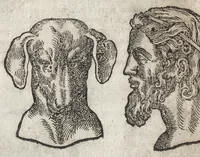 An illustration from La physionomie humaine de Iean Baptiste Porta neapolitain, divisée en quatre liures : enrichie de quantité de figures tirées au naturel, ou par les signes exterieurs du corps, on voit si clairement la complexion, les mœurs, & les desseins des hommes, qu'on semble penetrer iusques au plus profond de leurs ames ... (1655)