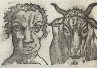 An illustration from La physionomie humaine de Iean Baptiste Porta neapolitain, divisée en quatre liures : enrichie de quantité de figures tirées au naturel, ou par les signes exterieurs du corps, on voit si clairement la complexion, les mœurs, & les desseins des hommes, qu'on semble penetrer iusques au plus profond de leurs ames ... (1655)