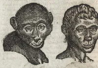 Picture 20 of 42 from La physionomie humaine de Iean Baptiste Porta neapolitain, divisée en quatre liures : enrichie de quantité de figures tirées au naturel, ou par les signes exterieurs du corps, on voit si clairement la complexion, les mœurs, & les desseins des hommes, qu'on semble penetrer iusques au plus profond de leurs ames ... (1655), leaf 189