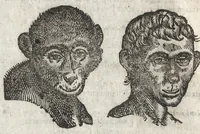 An illustration from La physionomie humaine de Iean Baptiste Porta neapolitain, divisée en quatre liures : enrichie de quantité de figures tirées au naturel, ou par les signes exterieurs du corps, on voit si clairement la complexion, les mœurs, & les desseins des hommes, qu'on semble penetrer iusques au plus profond de leurs ames ... (1655)