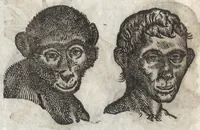 Picture 22 of 42 from La physionomie humaine de Iean Baptiste Porta neapolitain, divisée en quatre liures : enrichie de quantité de figures tirées au naturel, ou par les signes exterieurs du corps, on voit si clairement la complexion, les mœurs, & les desseins des hommes, qu'on semble penetrer iusques au plus profond de leurs ames ... (1655), leaf 211