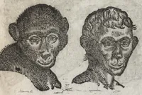 Picture 23 of 42 from La physionomie humaine de Iean Baptiste Porta neapolitain, divisée en quatre liures : enrichie de quantité de figures tirées au naturel, ou par les signes exterieurs du corps, on voit si clairement la complexion, les mœurs, & les desseins des hommes, qu'on semble penetrer iusques au plus profond de leurs ames ... (1655), leaf 240