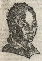 Picture 30 of 42 from La physionomie humaine de Iean Baptiste Porta neapolitain, divisée en quatre liures : enrichie de quantité de figures tirées au naturel, ou par les signes exterieurs du corps, on voit si clairement la complexion, les mœurs, & les desseins des hommes, qu'on semble penetrer iusques au plus profond de leurs ames ... (1655), leaf 252